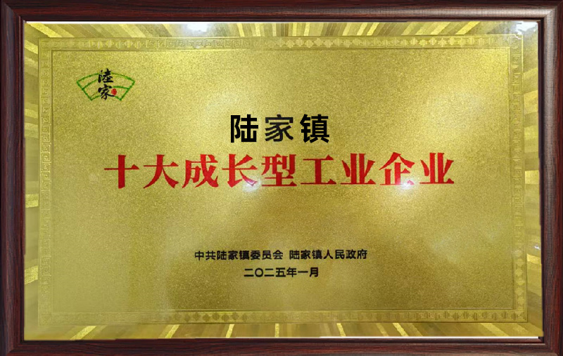 十大成长型工业企业